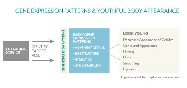 YGC and YBA anti-aging 1-29-2018.jpg