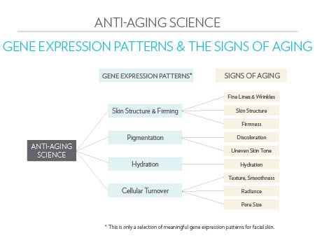 1439 anti-aging Science Tree 1-29-2018.jpg